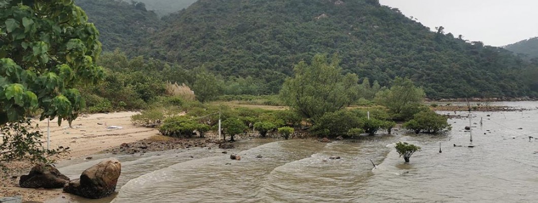 Tung O Ancient Trail, a slightly longer and easier coastal route for hiking