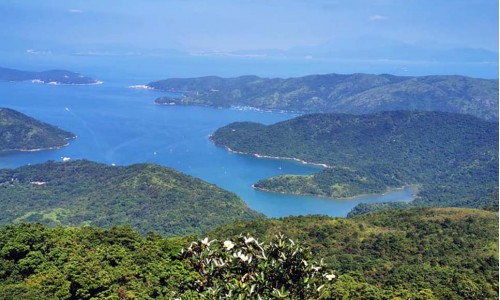 Half Day trip of Cheung Sheung