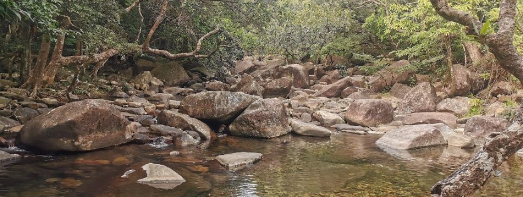 Roaming in the Dargon Valley in the forest area, walking out of the city gate through the lead mine depression