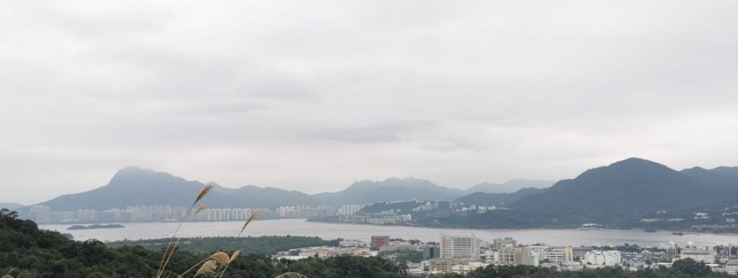 Easy hiking trek for half-day walk, Fung Ma Ancient Trail