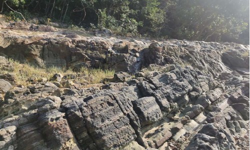 Short-Range Wilderness Experience Route Planning for Lai Chi Chong