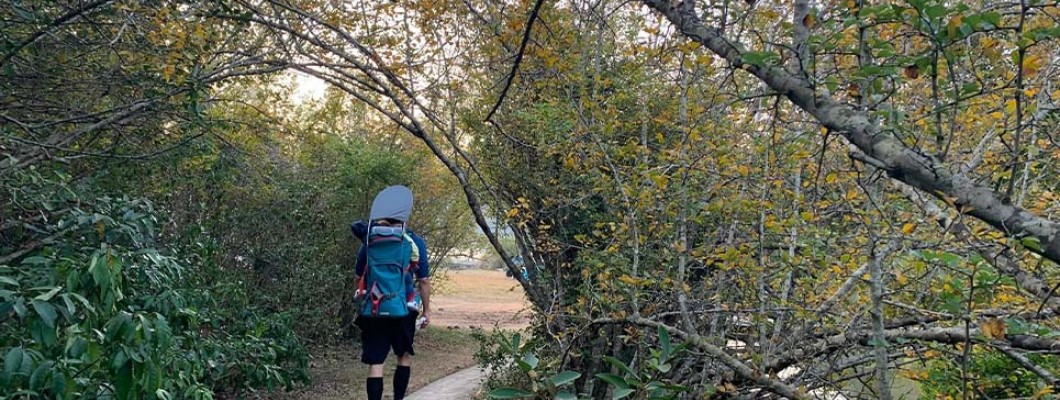 A Sweaty Tour of MACLEHOSE Trail Section Two