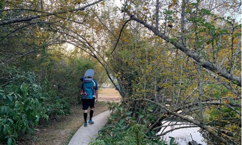 A Sweaty Tour of MACLEHOSE Trail Section Two