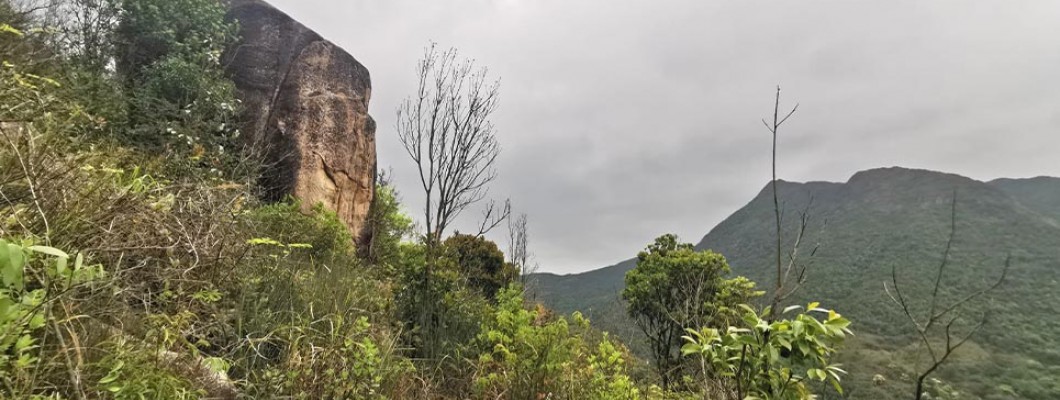 A relax day trip from Ma On Shan Village to Mui Tsz Lam