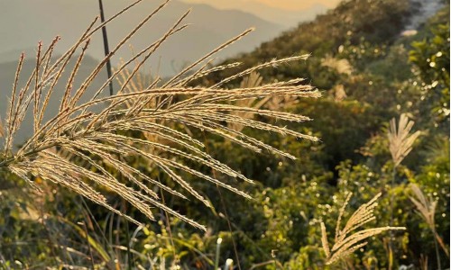Day Tour of Sharp Peak