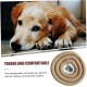 MasterCub Soft Dog Cone Alternative After Surgery-XL Size,Dog Recovery Cones,Elizabethan Collar