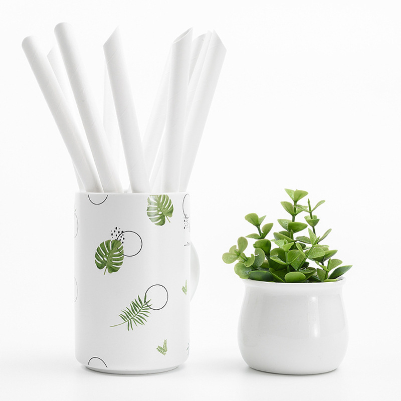 SavingOasis Eco-Friendly Paper Straw(12*230mm)