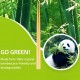 Savingoasis 100 pairs Disposable Bamboo Chopsticks Individual Packaged, Bamboo Chopsticks for Noodles, Sushi