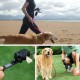 Dog/Cat Waste Bag Dispenser, Pet Poop Bags Holder, Waste Bags Dispensers- Soft Fabric Zipper